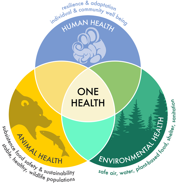Ven diagram showing the intersection of human health, environmental health, and animal health. The center says one health.