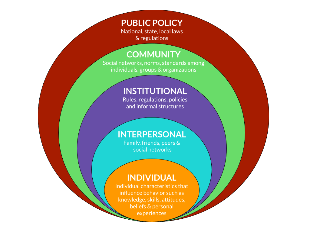 Section 1.4 Defining the Determinants of Health PUBH 110